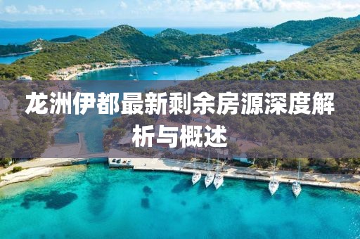 龍洲伊都最新剩余房源深度解析與概述