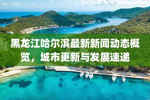 黑龍江哈爾濱最新新聞動(dòng)態(tài)概覽，城市更新與發(fā)展速遞