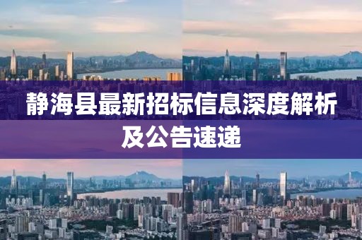 靜?？h最新招標(biāo)信息深度解析及公告速遞