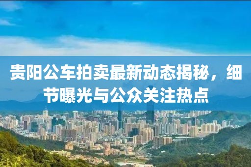 貴陽公車拍賣最新動態(tài)揭秘，細節(jié)曝光與公眾關(guān)注熱點