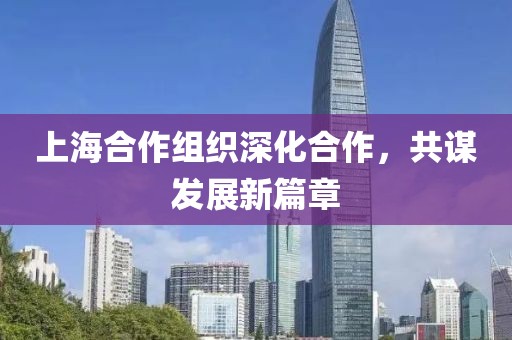 上海合作組織深化合作，共謀發(fā)展新篇章