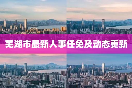 蕪湖市最新人事任免及動態(tài)更新
