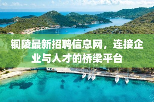 銅陵最新招聘信息網(wǎng)，連接企業(yè)與人才的橋梁平臺