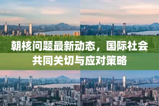 朝核問題最新動態(tài)，國際社會共同關(guān)切與應對策略