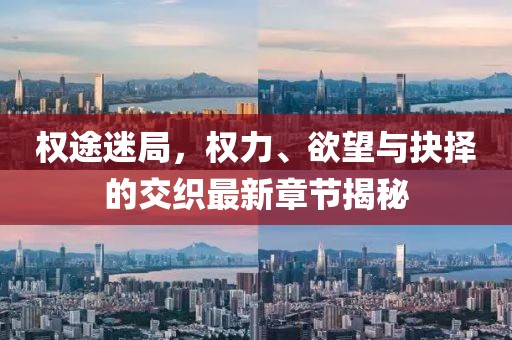 權(quán)途迷局，權(quán)力、欲望與抉擇的交織最新章節(jié)揭秘
