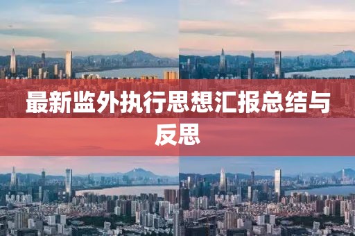 最新監(jiān)外執(zhí)行思想?yún)R報(bào)總結(jié)與反思