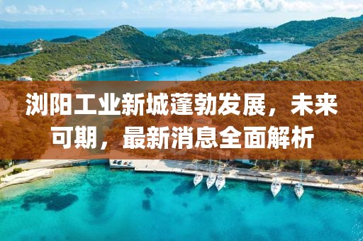 瀏陽工業(yè)新城蓬勃發(fā)展，未來可期，最新消息全面解析