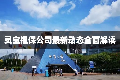 靈寶擔(dān)保公司最新動態(tài)全面解讀