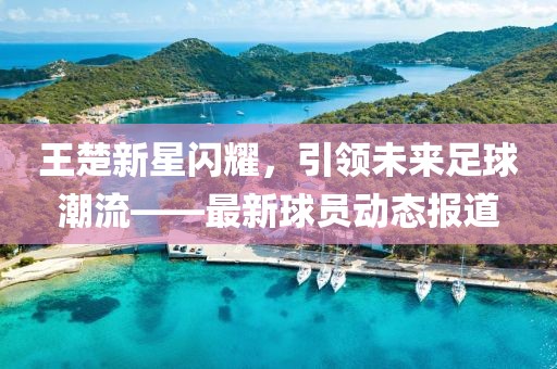 王楚新星閃耀，引領(lǐng)未來足球潮流——最新球員動態(tài)報道