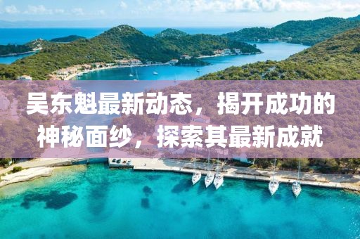 吳東魁最新動態(tài)，揭開成功的神秘面紗，探索其最新成就