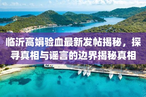 臨沂高娟驗血最新發(fā)帖揭秘，探尋真相與謠言的邊界揭秘真相