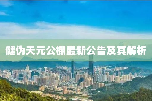 健偽天元公棚最新公告及其解析