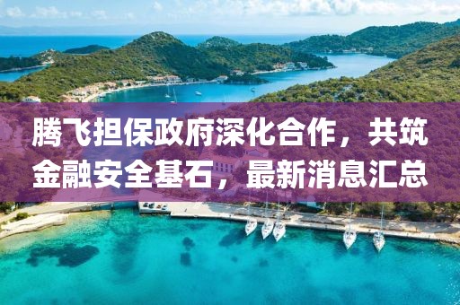 騰飛擔(dān)保政府深化合作，共筑金融安全基石，最新消息匯總