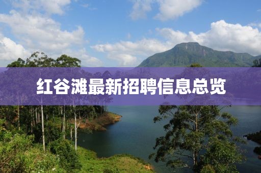 紅谷灘最新招聘信息總覽