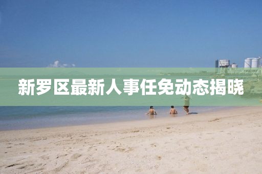 新羅區(qū)最新人事任免動(dòng)態(tài)揭曉