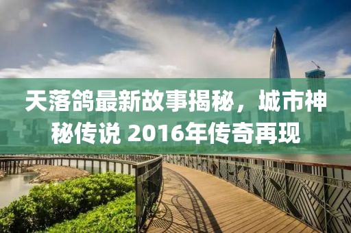 天落鴿最新故事揭秘，城市神秘傳說 2016年傳奇再現(xiàn)