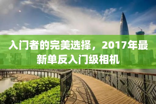 入門者的完美選擇，2017年最新單反入門級相機