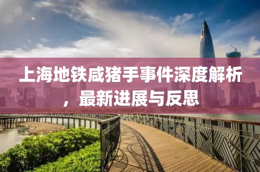 上海地鐵咸豬手事件深度解析，最新進(jìn)展與反思