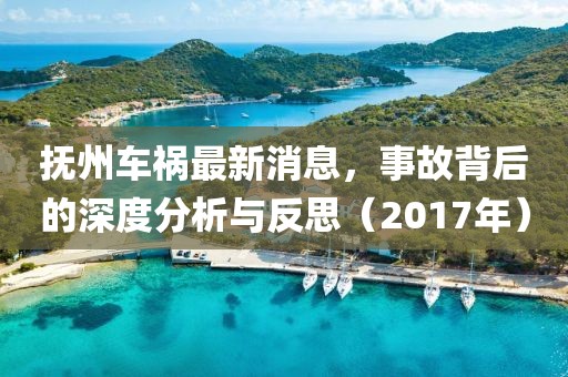 撫州車禍最新消息，事故背后的深度分析與反思（2017年）