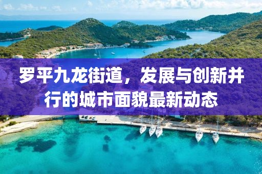 羅平九龍街道，發(fā)展與創(chuàng)新并行的城市面貌最新動態(tài)