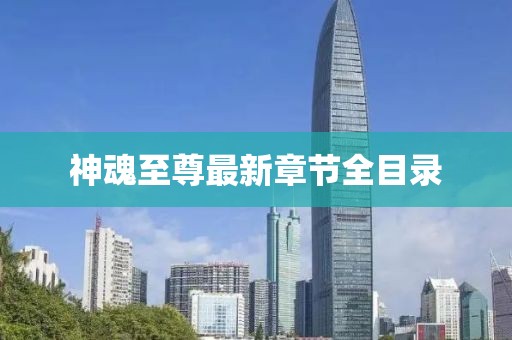 神魂至尊最新章節(jié)全目錄