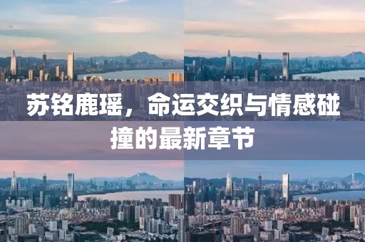 蘇銘鹿瑤，命運(yùn)交織與情感碰撞的最新章節(jié)