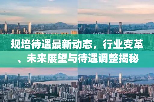 規(guī)培待遇最新動(dòng)態(tài)，行業(yè)變革、未來展望與待遇調(diào)整揭秘