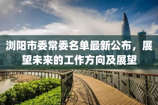 瀏陽市委常委名單最新公布，展望未來的工作方向及展望