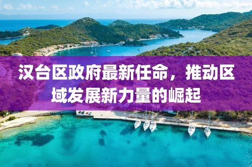 漢臺(tái)區(qū)政府最新任命，推動(dòng)區(qū)域發(fā)展新力量的崛起