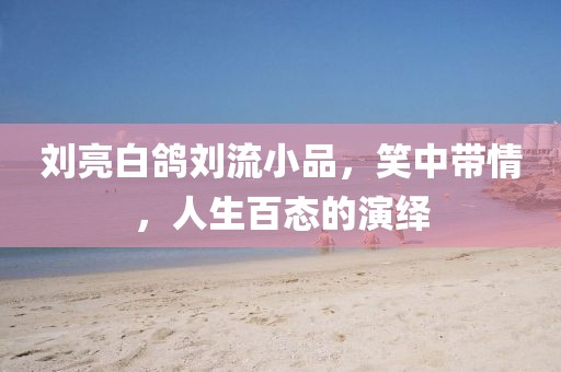 劉亮白鴿劉流小品，笑中帶情，人生百態(tài)的演繹