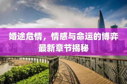 婚途危情，情感與命運(yùn)的博弈最新章節(jié)揭秘