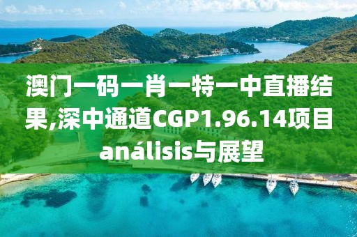 澳門一碼一肖一特一中直播結(jié)果,深中通道CGP1.96.14項目 análisis與展望