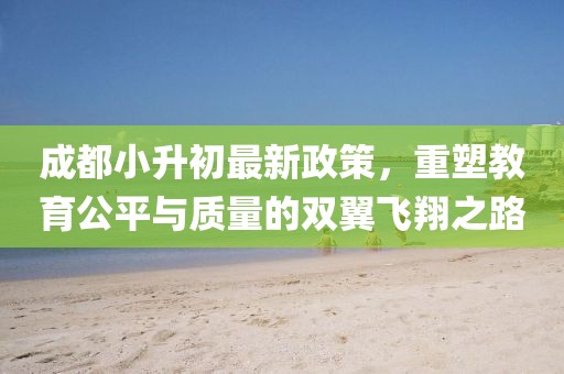 成都小升初最新政策，重塑教育公平與質(zhì)量的雙翼飛翔之路