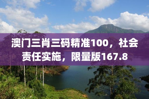 澳門三肖三碼精準(zhǔn)100，社會(huì)責(zé)任實(shí)施，限量版167.8