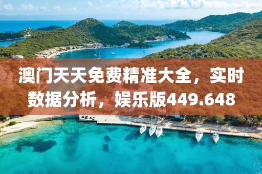 澳門天天免費精準大全，實時數(shù)據(jù)分析，娛樂版449.648
