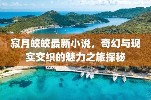 寂月皎皎最新小說，奇幻與現(xiàn)實(shí)交織的魅力之旅探秘