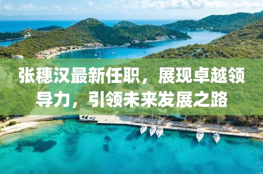 張穗漢最新任職，展現(xiàn)卓越領(lǐng)導(dǎo)力，引領(lǐng)未來發(fā)展之路