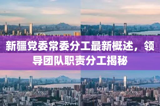 新疆黨委常委分工最新概述，領(lǐng)導(dǎo)團(tuán)隊(duì)職責(zé)分工揭秘