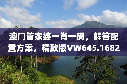 澳門管家婆一肖一碼，解答配置方案，精致版VW645.1682