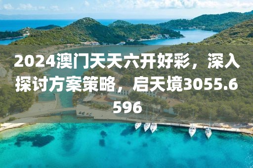 2024澳門天天六開(kāi)好彩，深入探討方案策略，啟天境3055.6596