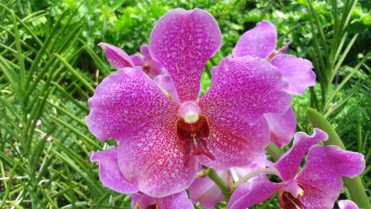 延安翠微花園最新動(dòng)態(tài)，綻放中的綠色明珠
